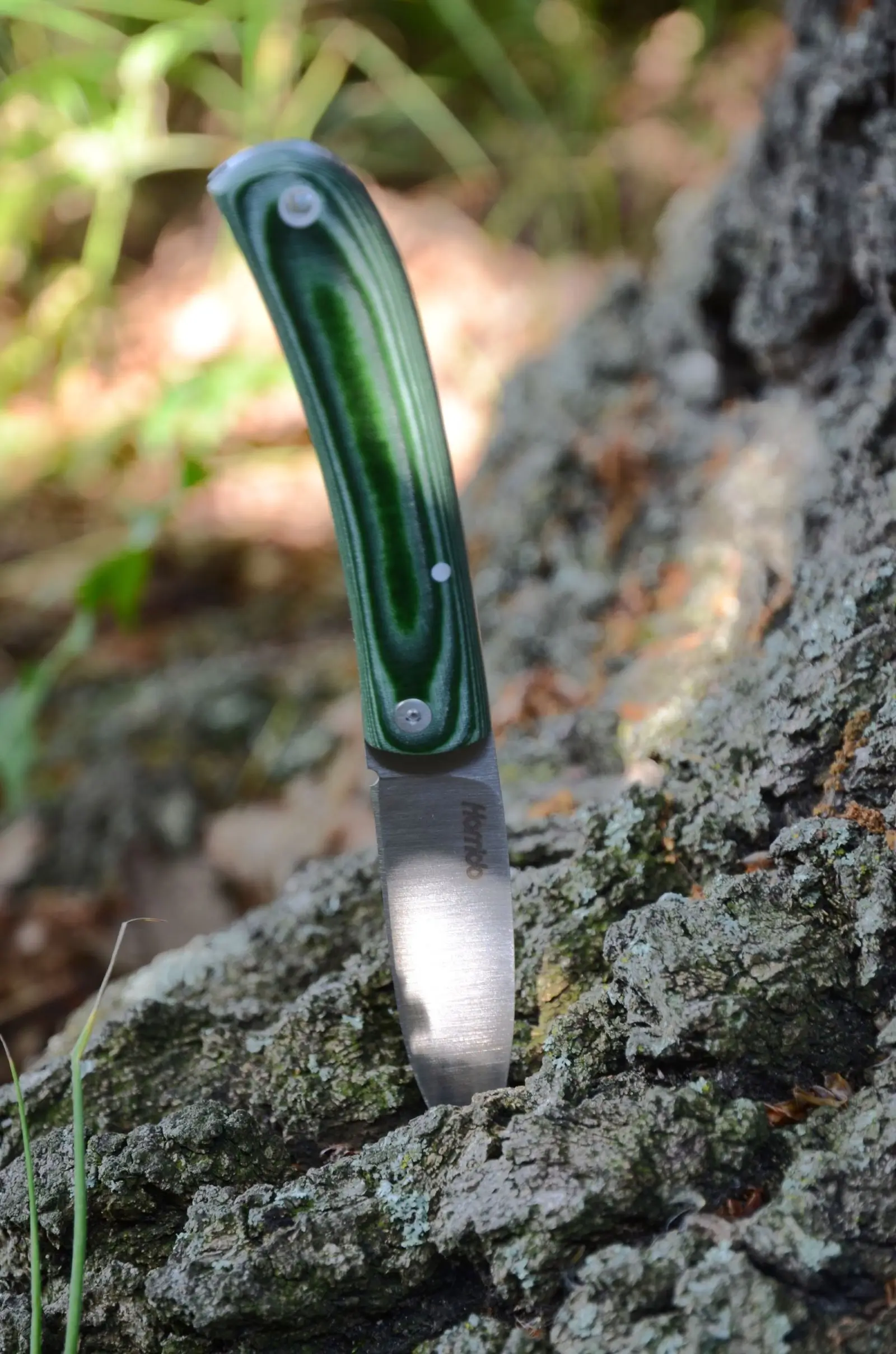 Grünes Taschenmesser geöffnet in Eichenrinde